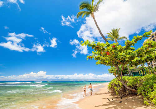 Discover the Best Beaches in the US